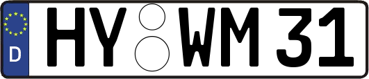 HY-WM31