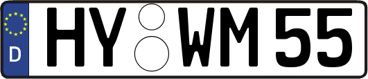HY-WM55