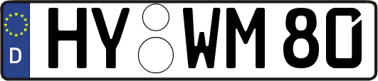 HY-WM80