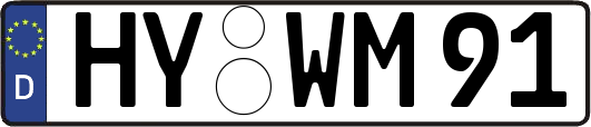 HY-WM91