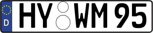 HY-WM95