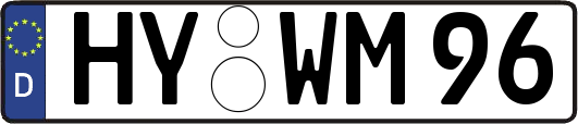 HY-WM96