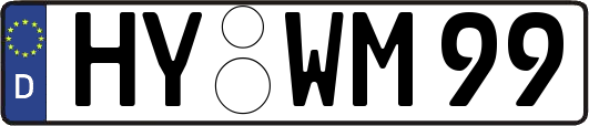 HY-WM99
