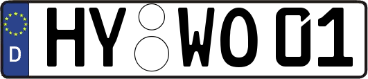 HY-WO01