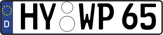 HY-WP65