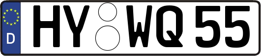 HY-WQ55