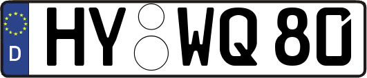 HY-WQ80