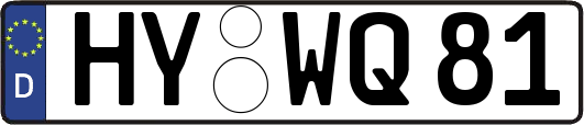 HY-WQ81
