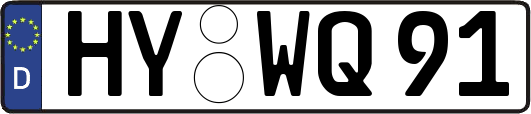 HY-WQ91