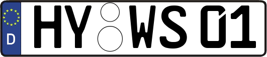 HY-WS01