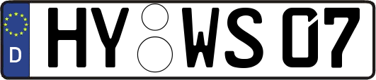 HY-WS07