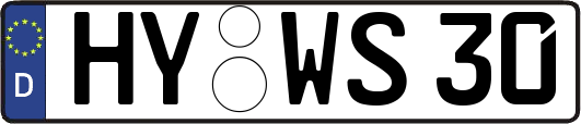 HY-WS30