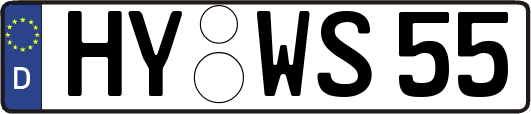 HY-WS55
