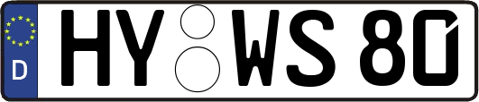 HY-WS80