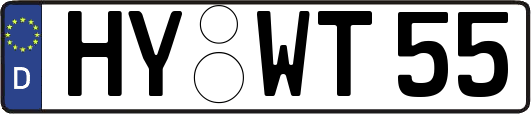 HY-WT55