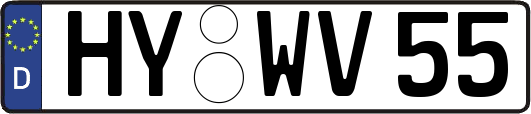 HY-WV55