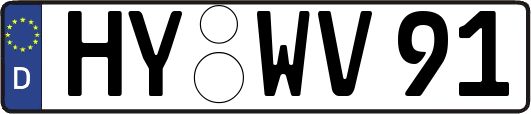 HY-WV91
