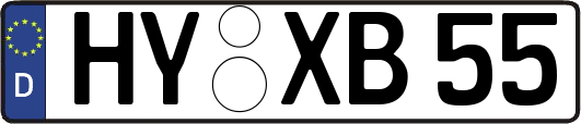 HY-XB55