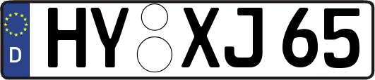 HY-XJ65