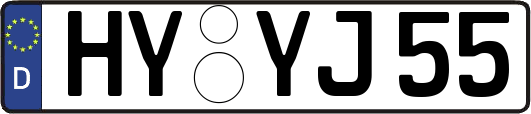 HY-YJ55