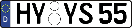 HY-YS55