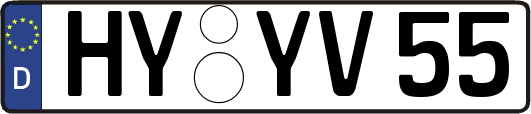 HY-YV55