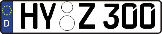 HY-Z300