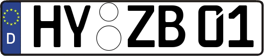 HY-ZB01