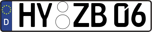 HY-ZB06