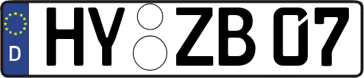 HY-ZB07
