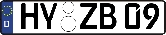 HY-ZB09
