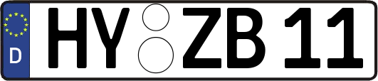 HY-ZB11