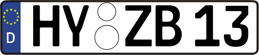 HY-ZB13