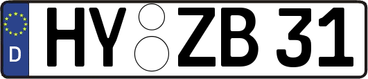 HY-ZB31