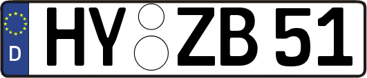 HY-ZB51
