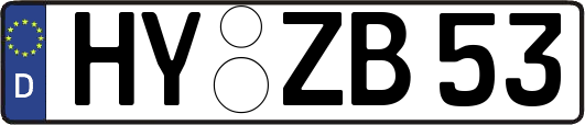 HY-ZB53