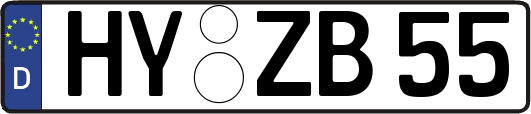 HY-ZB55