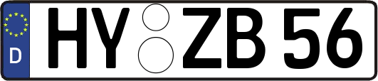 HY-ZB56