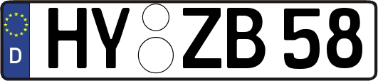 HY-ZB58