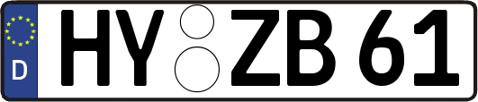 HY-ZB61