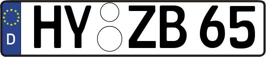 HY-ZB65