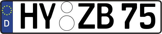 HY-ZB75