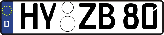 HY-ZB80