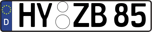 HY-ZB85