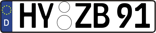 HY-ZB91