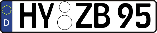 HY-ZB95