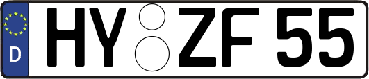 HY-ZF55