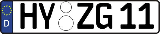HY-ZG11