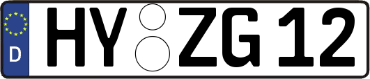 HY-ZG12