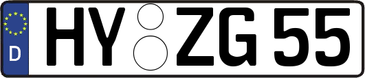 HY-ZG55